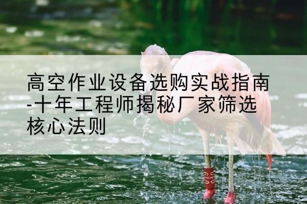 信都剪叉式升降机厂家-高空作业设备选购实战指南-十年工程师揭秘厂家筛选核心法则