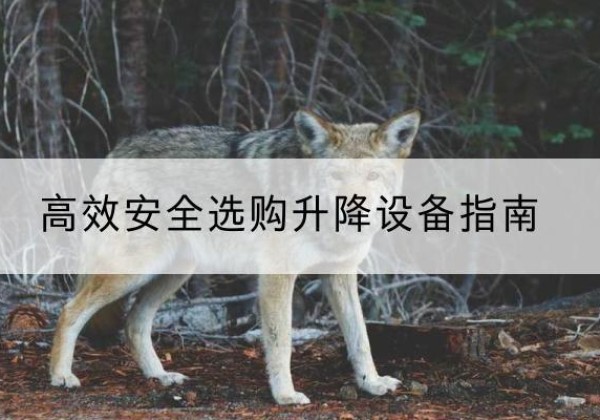 信都升降货梯厂家推荐-*安全选购升降设备指南