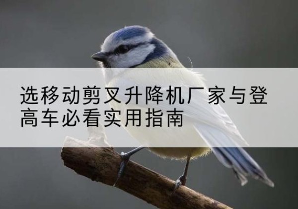 信都电动升降机厂家-选移动剪叉升降机厂家与登高车必看实用指南