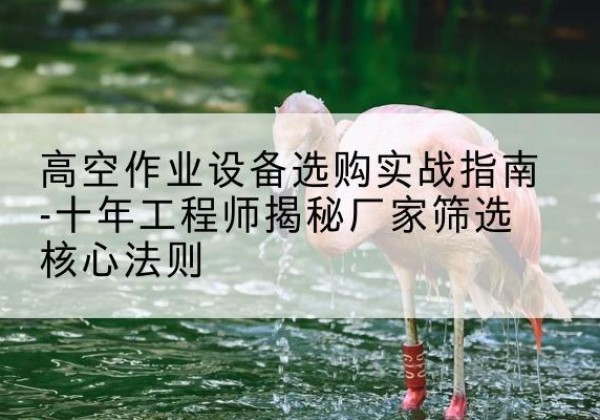 信都剪叉式升降机厂家-高空作业设备选购实战指南-十年工程师揭秘厂家筛选核心法则